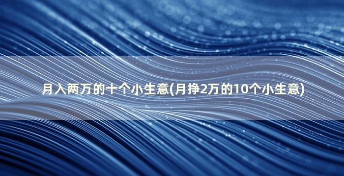 月入两万的十个小生意(月挣2万的10个小生意)