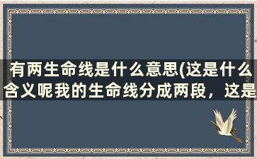 有两生命线是什么意思(这是什么含义呢我的生命线分成两段，这是什)