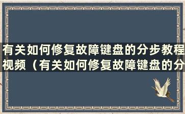 有关如何修复故障键盘的分步教程视频（有关如何修复故障键盘的分步教程）