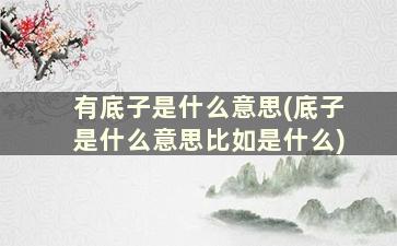 有底子是什么意思(底子是什么意思比如是什么)