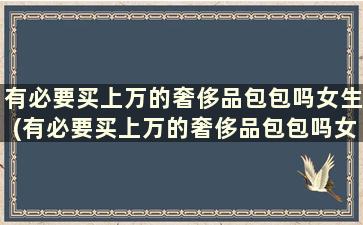 有必要买上万的奢侈品包包吗女生(有必要买上万的奢侈品包包吗女士)