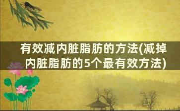 有效减内脏脂肪的方法(减掉内脏脂肪的5个最有效方法)