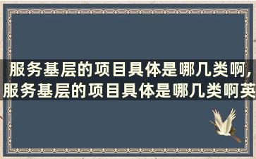 服务基层的项目具体是哪几类啊,服务基层的项目具体是哪几类啊英文