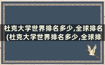 杜克大学世界排名多少,全球排名(杜克大学世界排名多少,全球排名是多少)