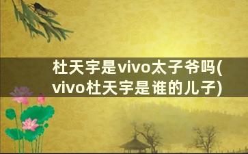 杜天宇是vivo太子爷吗(vivo杜天宇是谁的儿子)