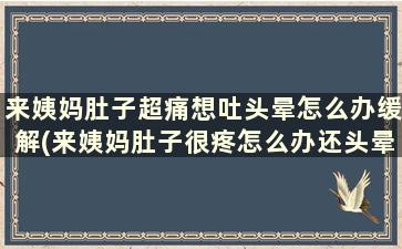 来姨妈肚子超痛想吐头晕怎么办缓解(来姨妈肚子很疼怎么办还头晕想吐)