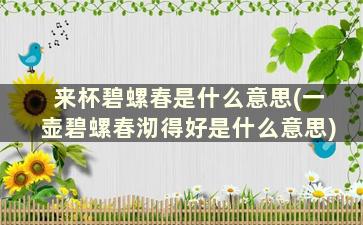 来杯碧螺春是什么意思(一壶碧螺春沏得好是什么意思)