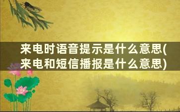 来电时语音提示是什么意思(来电和短信播报是什么意思)