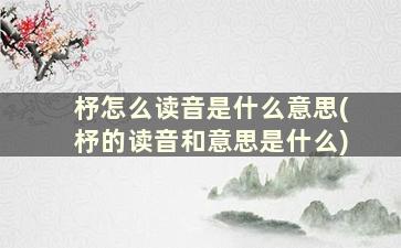 杼怎么读音是什么意思(杼的读音和意思是什么)