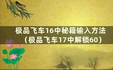 极品飞车16中秘籍输入方法（极品飞车17中解锁60）