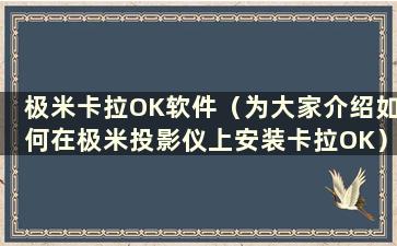 极米卡拉OK软件（为大家介绍如何在极米投影仪上安装卡拉OK）