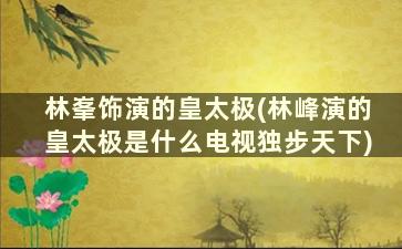 林峯饰演的皇太极(林峰演的皇太极是什么电视独步天下)