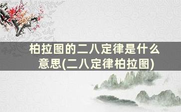 柏拉图的二八定律是什么意思(二八定律柏拉图)