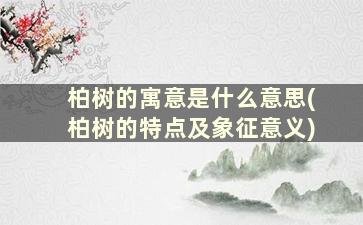 柏树的寓意是什么意思(柏树的特点及象征意义)