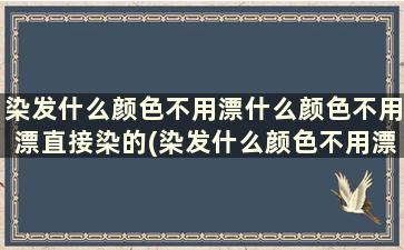 染发什么颜色不用漂什么颜色不用漂直接染的(染发什么颜色不用漂什么颜色不用漂直接染的好看)