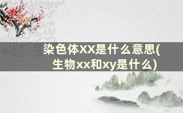 染色体XX是什么意思(生物xx和xy是什么)