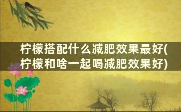 柠檬搭配什么减肥效果最好(柠檬和啥一起喝减肥效果好)