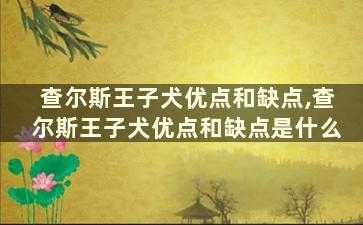 查尔斯王子犬优点和缺点,查尔斯王子犬优点和缺点是什么