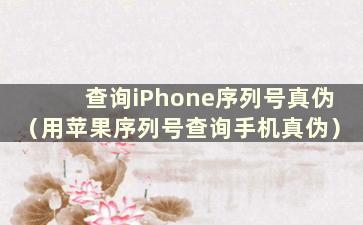 查询iPhone序列号真伪（用苹果序列号查询手机真伪）