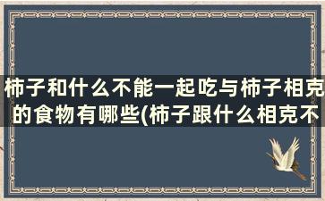 柿子和什么不能一起吃与柿子相克的食物有哪些(柿子跟什么相克不能一起吃)