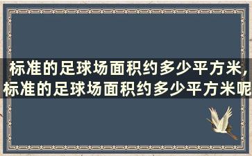 标准的足球场面积约多少平方米,标准的足球场面积约多少平方米呢