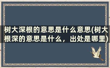 树大深根的意思是什么意思(树大根深的意思是什么，出处是哪里)