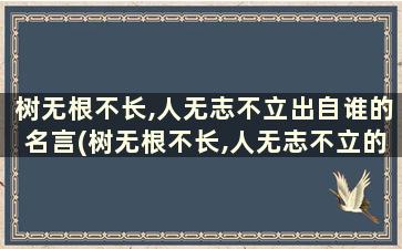 树无根不长,人无志不立出自谁的名言(树无根不长,人无志不立的意思)