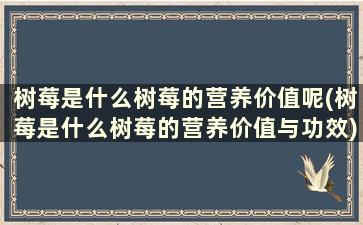 树莓是什么树莓的营养价值呢(树莓是什么树莓的营养价值与功效)