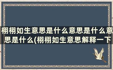 栩栩如生意思是什么意思是什么意思是什么(栩栩如生意思解释一下)