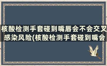 核酸检测手套碰到嘴唇会不会交叉感染风险(核酸检测手套碰到嘴会感染吗)