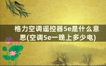 格力空调遥控器5e是什么意思(空调5e一晚上多少电)