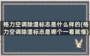 格力空调除湿标志是什么样的(格力空调除湿标志是哪个一看就懂)