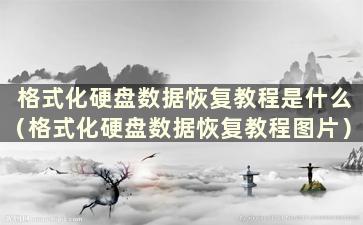 格式化硬盘数据恢复教程是什么（格式化硬盘数据恢复教程图片）