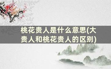 桃花贵人是什么意思(大贵人和桃花贵人的区别)