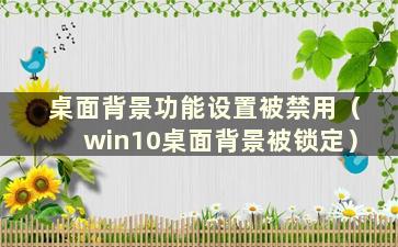 桌面背景功能设置被禁用（win10桌面背景被锁定）