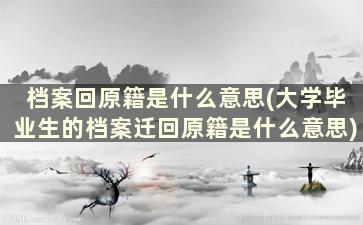 档案回原籍是什么意思(大学毕业生的档案迁回原籍是什么意思)