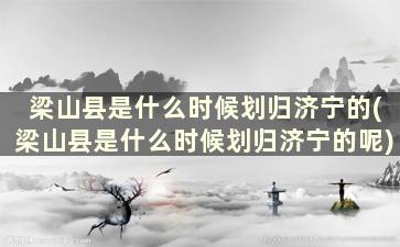 梁山县是什么时候划归济宁的(梁山县是什么时候划归济宁的呢)