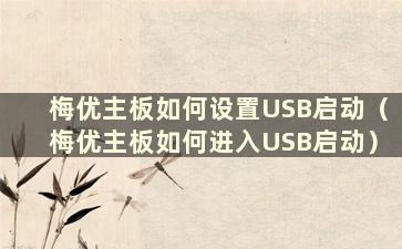 梅优主板如何设置USB启动（梅优主板如何进入USB启动）