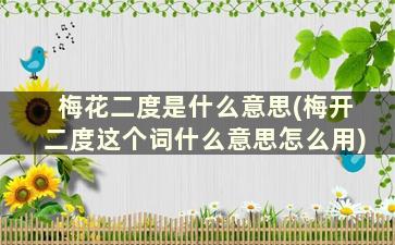 梅花二度是什么意思(梅开二度这个词什么意思怎么用)