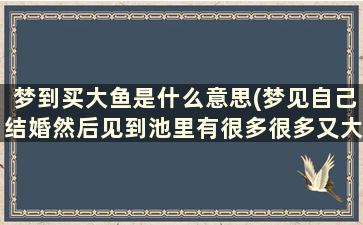 梦到买大鱼是什么意思(梦见自己结婚然后见到池里有很多很多又大的鱼)