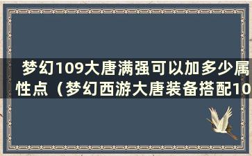 梦幻109大唐满强可以加多少属性点（梦幻西游大唐装备搭配109）