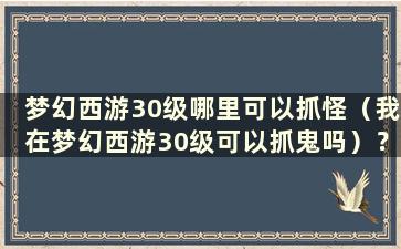 梦幻西游30级哪里可以抓怪（我在梦幻西游30级可以抓鬼吗）？