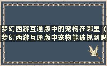 梦幻西游互通版中的宠物在哪里（梦幻西游互通版中宠物能被抓到吗）