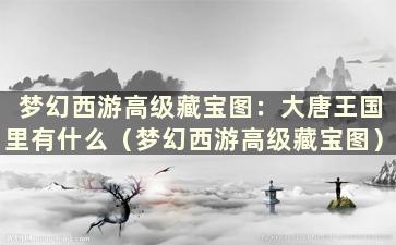 梦幻西游高级藏宝图：大唐王国里有什么（梦幻西游高级藏宝图）