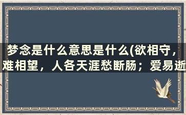 梦念是什么意思是什么(欲相守，难相望，人各天涯愁断肠；爱易逝，恨亦长，灯火阑珊人彷徨。是什么意思)