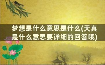 梦想是什么意思是什么(天真是什么意思要详细的回答哦)