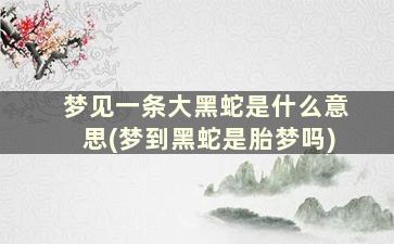 梦见一条大黑蛇是什么意思(梦到黑蛇是胎梦吗)