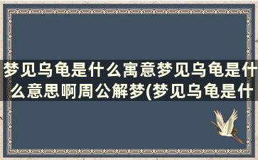 梦见乌龟是什么寓意梦见乌龟是什么意思啊周公解梦(梦见乌龟是什么寓意梦见乌龟是什么意思啊女生)