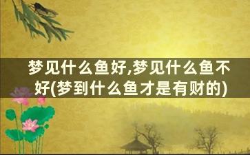 梦见什么鱼好,梦见什么鱼不好(梦到什么鱼才是有财的)