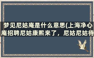 梦见尼姑庵是什么意思(上海净心庵招聘尼姑康熙来了，尼姑尼姑待遇梦见尼姑金尼姑)